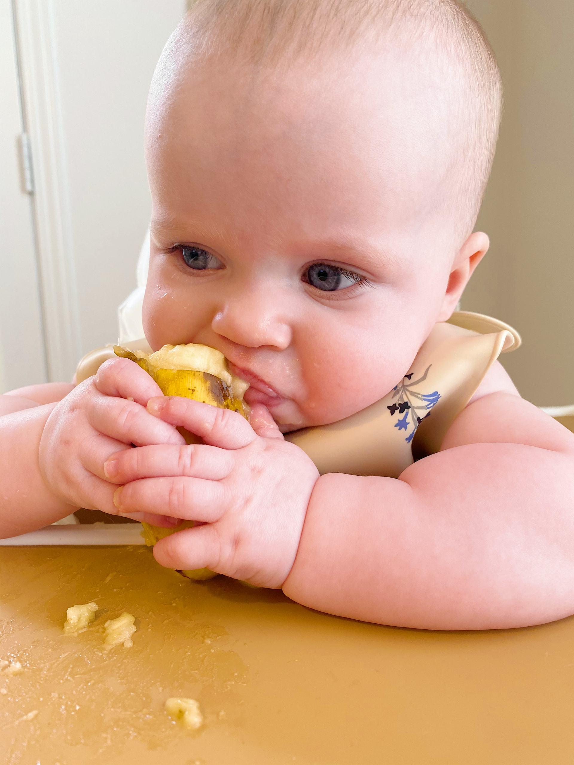 Starting Solids: Our Journey With Purees + Baby Led Weaning